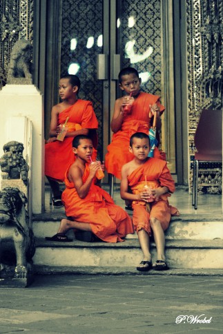 little monks / piccoli monaci