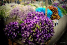 flower market / mercato dei fiori