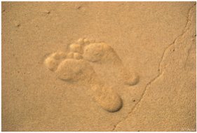 footprints / orme