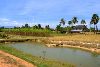 Kampot, rural area