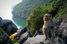 Monkey Island, Ha Long Bay