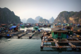 Ha Long Bay, floating village
